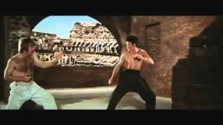 Bruce Lee vs Chuck Norris